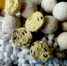BOILIES PRO ELITE BAITS GOLD SWEET DREAMS BLANCOS 20 MM