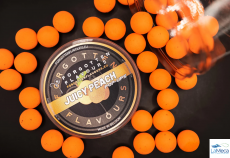 FORGOTTEN FLAVOURS JUICY PEACH POP UPS 15mm