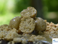 BOILIES DE AJO 20MM 1KG