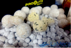 BOILIES PRO ELITE BAITS GOLD BLOODY MULBERRY  WHITE 20 MM