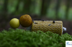 BOILIES SWET MELON 20MM 1KG