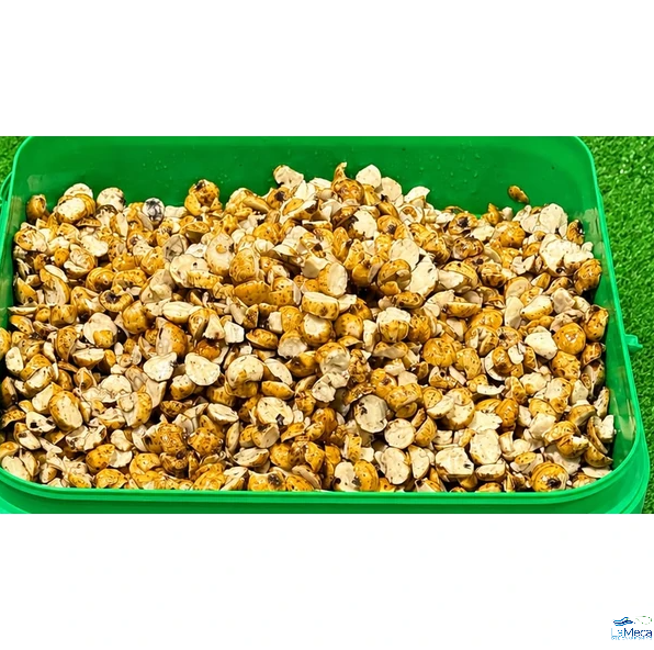 Quality Seeds Chufa Laminada 5kg
