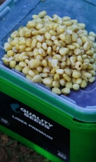 CUBO MAIZ BLANCO QUALITY SEEDS 6KG