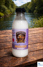 BOOSTER MAINABAITS DANDY 1000ML