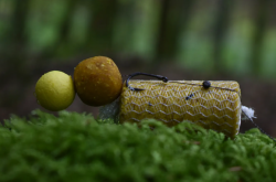 BOILIES