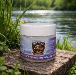 BLACK-MUSSEL