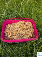PARTIKLES FOR FISHING SEMILLA COCIDA SPRING MIX 5Kg ( CUBO)