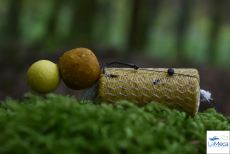 BOILIES TANDORI 20MM 1KG