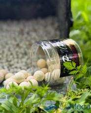 POP UPS PRO ELITE BAITS GOLD BLOODY MULBERRY WHITE 14 mm